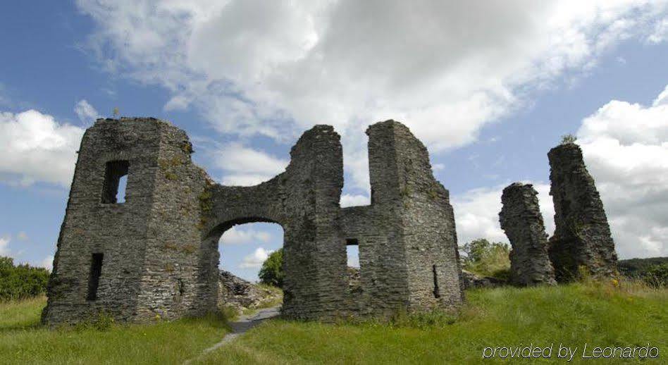 Gwesty'R Emlyn Hotel Newcastle Emlyn Dış mekan fotoğraf